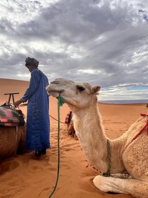 Photo d'avis client sur AU DÉPART DE MARRAKECH : 4 JOURS D'EXCURSION EN GROUPE À L'ERG CHIGAGA