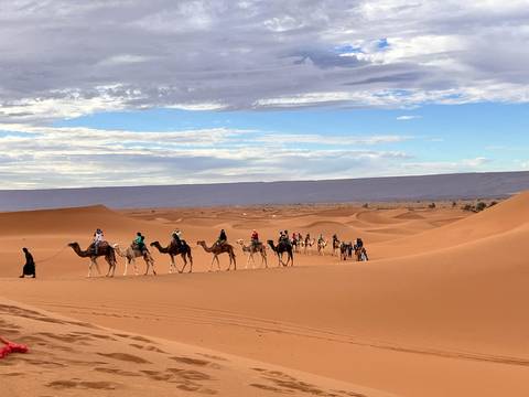 Camel caravan stretches across a ridge of soft orange dunes under a dramatic sky.