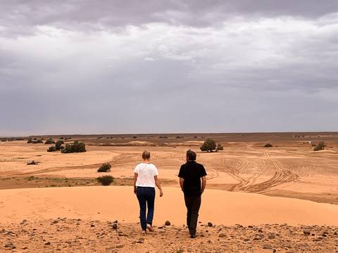 Two travelers stand atop a low sand dune looking over wide tracks and scattered shrubs in the desert.