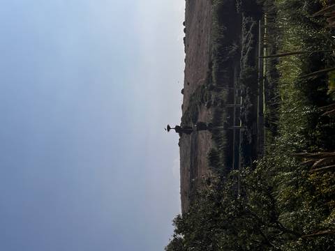 Distant silhouette of a stork standing on a sculptural pole in a rural field under hazy blue sky.