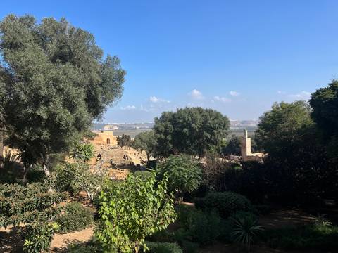 Scenic viewpoint overlooking lush trees, ancient ruins and distant river valley under blue sky.