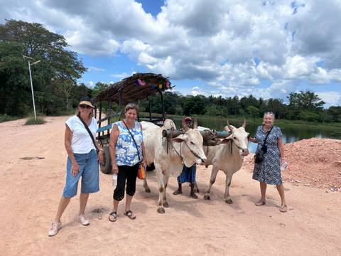 Four travellers stand beside a traditional ox-drawn cart on a rural dirt road under a bright sky.