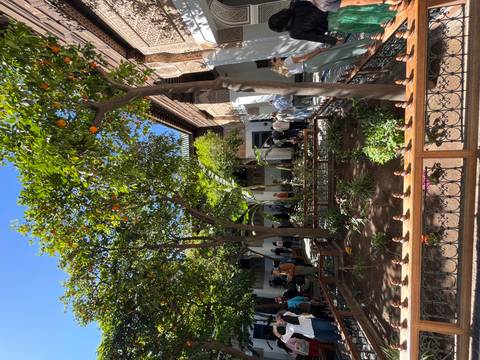 Lush courtyard garden with orange trees and visitors encircled by wooden balconies and stucco walls.