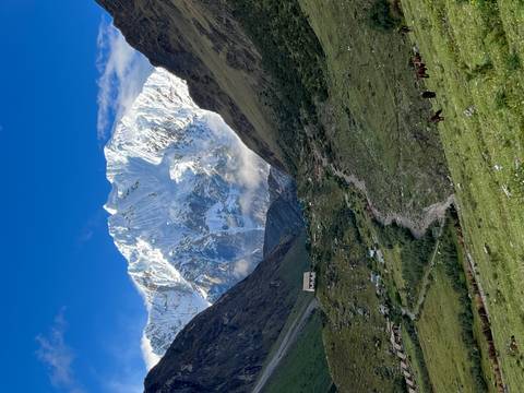 Snow-covered Salkantay Mountain towers above a verdant valley dotted with scattered homes.