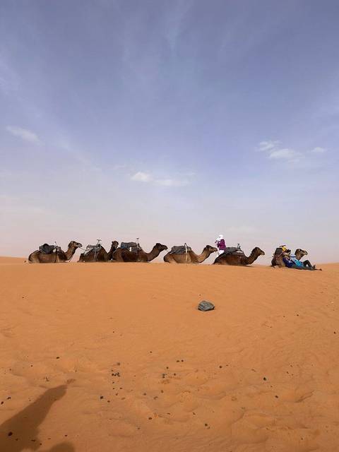 FROM MARRAKESH: 3-Days Luxury Tour To Erg Chigaga customer review photo