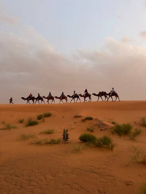 FROM MARRAKESH: 3-Days Luxury Tour To Erg Chigaga customer review photo