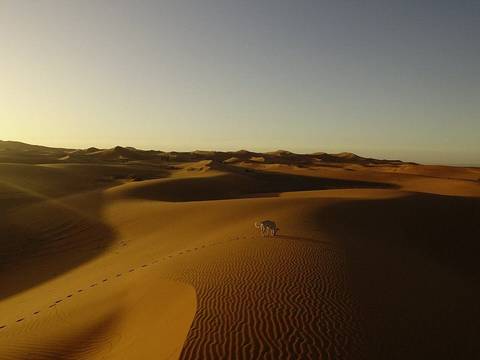 FROM MARRAKESH: 3-Days Luxury Tour To Erg Chigaga customer review photo