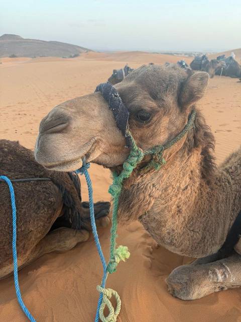 FROM MARRAKESH: 3-Days Luxury Tour To Erg Chigaga customer review photo