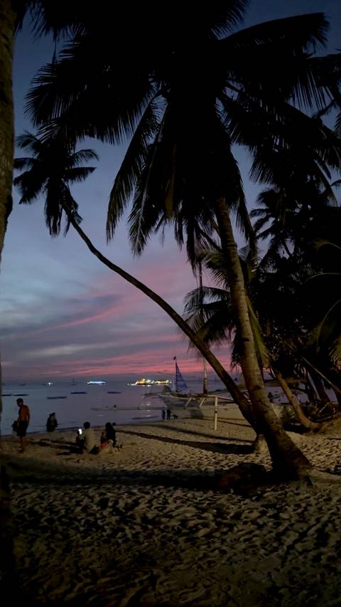Palm trees silhouetted against a pink-purple sunset sky over a calm beach with a few distant illuminated boats.