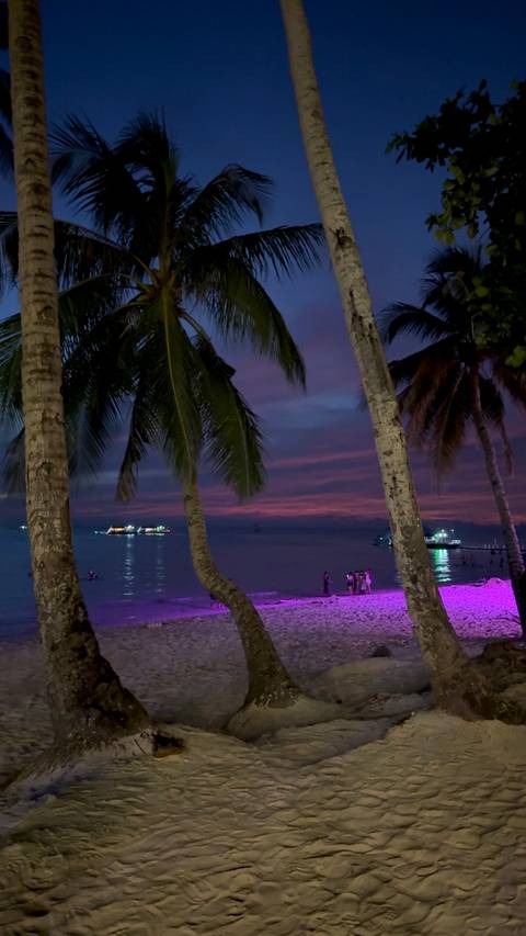Evening beach scene with purple twilight sky, palm trunks in foreground and small groups of swimmers and onlookers near softly-lit boats.