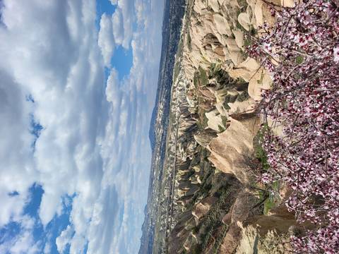 Panoramic view over Cappadocia’s rugged valley landscape under a partly cloudy sky with spring blossoms.
