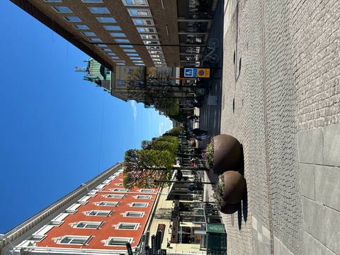 Sunny pedestrian shopping street with colorful buildings, cyclists, and large round planters of flowers.