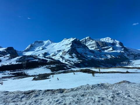 Broad view of snow-covered mountains along the Icefields Parkway under a deep blue sky