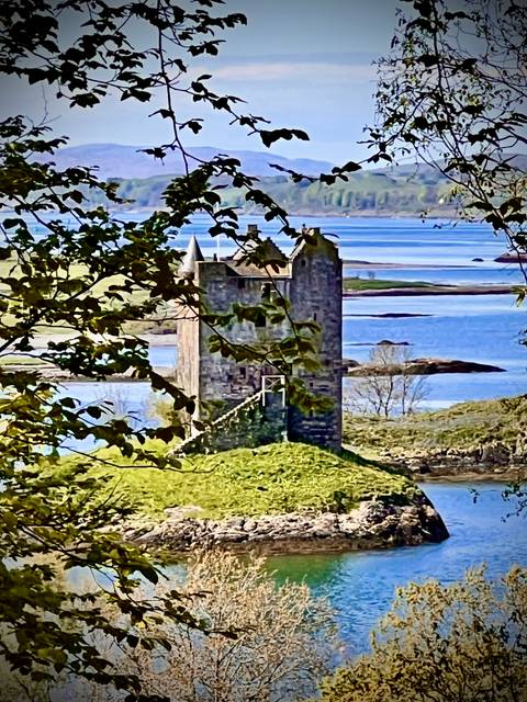 Medieval stone tower castle stands on a grassy mound overlooking blue tidal waters, framed by leafy branches.