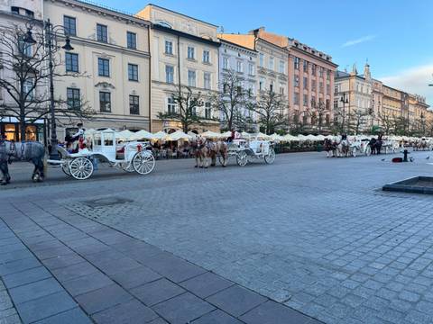 Line of white horse-drawn carriages and drivers along Krakow’s main market square beside historic facades.