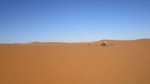 9-Days Morocco Tour from Marrakech via Sahara, Fes, Chefchaouen customer review photo