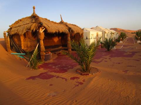 9-Days Morocco Tour from Marrakech via Sahara, Fes, Chefchaouen customer review photo