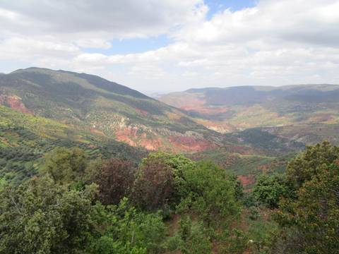 9-Days Morocco Tour from Marrakech via Sahara, Fes, Chefchaouen customer review photo