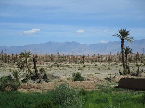 9-Days Morocco Tour from Marrakech via Sahara, Fes, Chefchaouen customer review photo