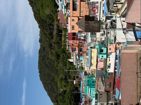 Colorful hillside neighborhood of stacked houses with forested mountain backdrop under blue sky