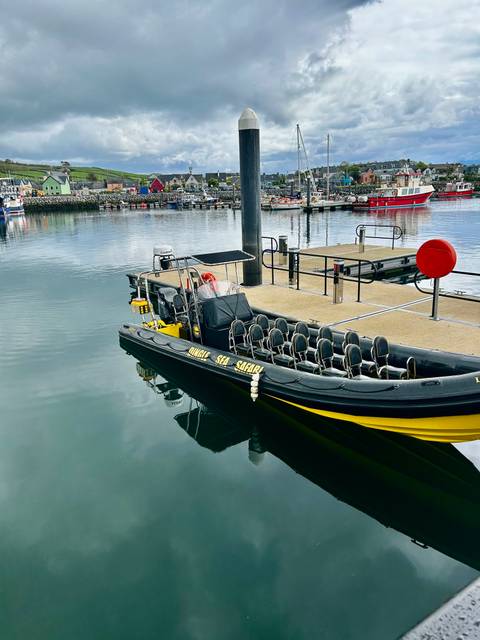 Yellow and black rigid inflatable tour boat moored at a calm harbour awaiting passengers