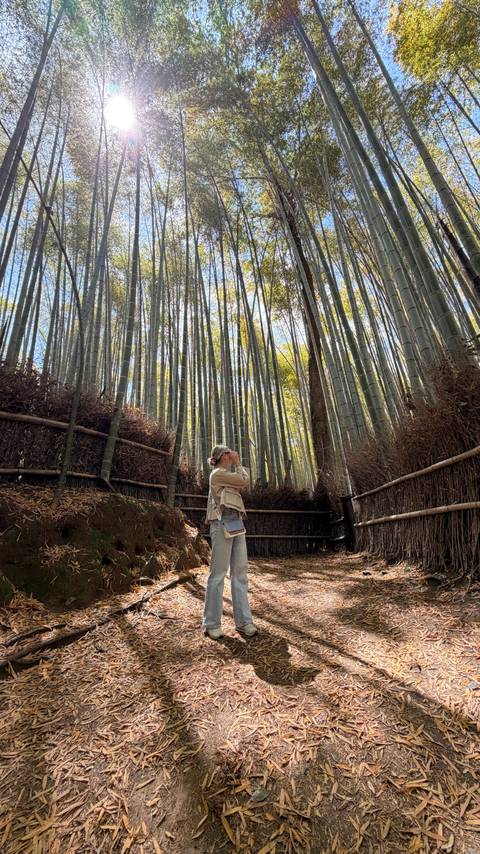 Traveller photographing towering bamboo stalks from forest path