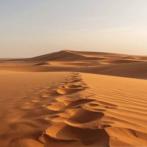Golden sand dunes with footprints leading toward a smooth crest under soft morning light.