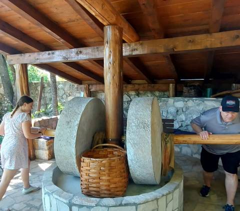 Visitors operating large stone grinding wheels inside a rustic wooden shelter.