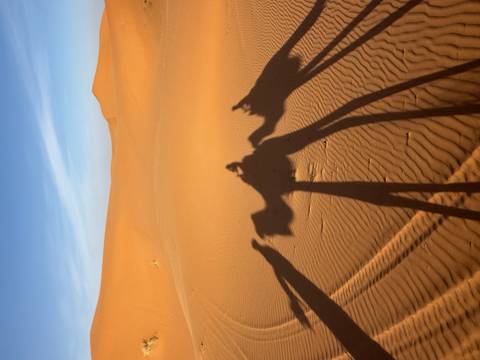 Long camel-rider shadows stretch across rippled orange dunes under a clear blue sky.