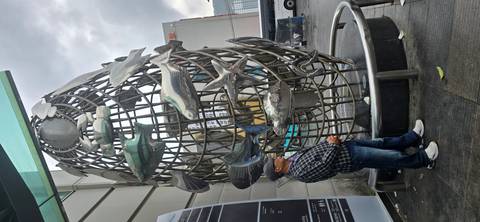 Man stands beside large stainless-steel fish sculpture outside an urban building.