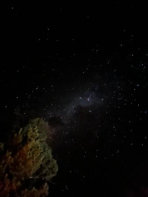Star-filled night sky with faint Milky Way band and silhouettes of trees below.
