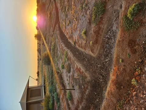 Early-morning sun rises over a semi-arid campsite and a dry creek bed, casting long golden rays.