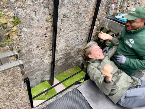 Visitor laughs while being helped to kiss the Blarney Stone high on the castle wall.