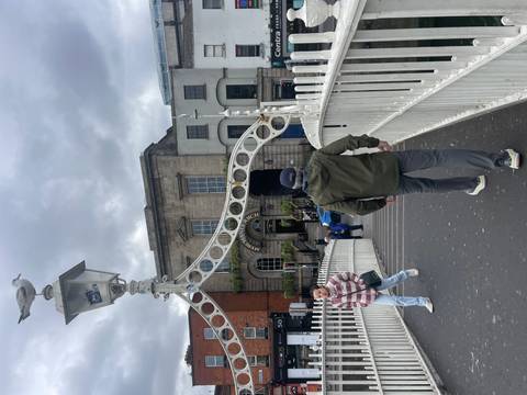 Pedestrians cross Dublin’s Ha’penny Bridge under a gray sky, with a seagull perched on the lamp above.