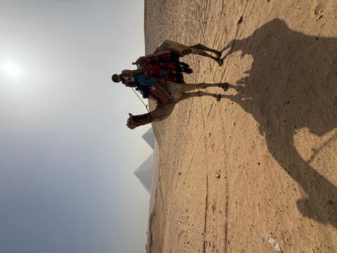 Photo d'avis client sur La ville des merveilles : Circuit privé de 3 jours au Caire - Pyramides, Sphinx, Musée égyptien et dîner-croisière sur le Nil