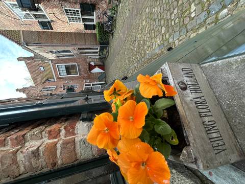 Close-up of bright orange pansies in a wooden planter against a narrow cobblestone alley.