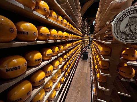 Long rows of glossy orange Edam cheese wheels aging on wooden racks in a warehouse.