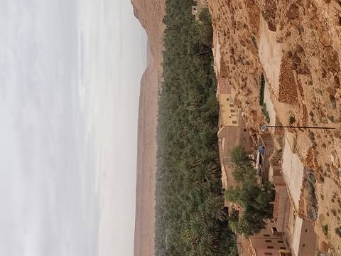 Expansive view over a lush date palm oasis bordered by arid desert hills near a small village.