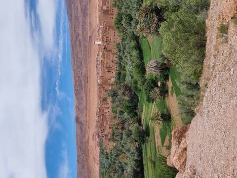 Panoramic view of a lush green oasis with palm trees and an adobe town backed by arid hills under a blue sky.