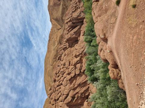 Eroded redrock formations rising above a line of green trees beneath a blue sky with wispy clouds.