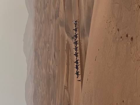 Camel caravan snakes across endless rolling sand dunes under a hazy desert sky.