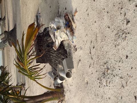 Discarded plastic and pipes near the stump of a fallen palm on a sandy beach