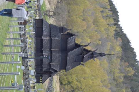 Dark wooden Norwegian stave church surrounded by spring trees and a small cemetery