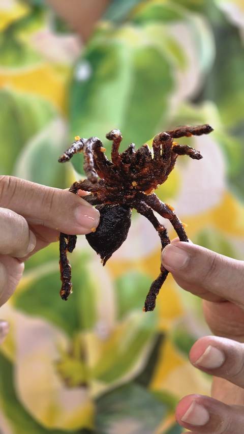 Hands hold up a deep-fried tarantula, a famous Cambodian street snack, against a colorful blurred background.