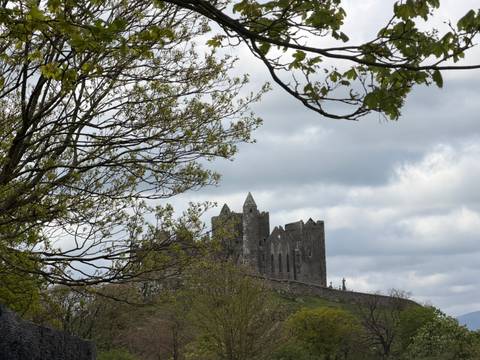 Ruined castle atop a hill framed by branches under a moody Irish sky.
