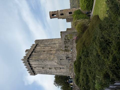 Tall stone tower of Blarney Castle rising above lush greenery under pale sky.