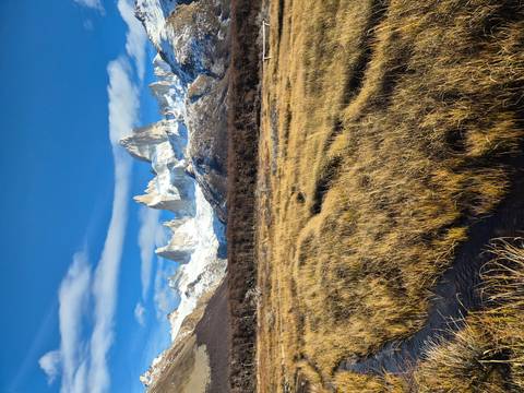 Golden autumn grasses lead the eye to the snow-capped spires of Mount Fitz Roy beneath a cobalt sky.