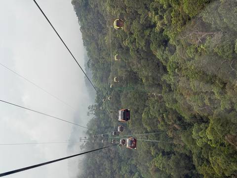 Colourful cable cars glide above dense tropical forest with misty mountains in the background.