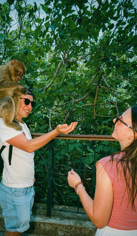 Traveler smiling as a curious monkey perches on their shoulder while another person watches in a leafy park