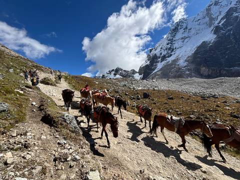 Long line of pack horses and trekkers ascend a rugged mountain trail beneath snowy peaks and blue sky